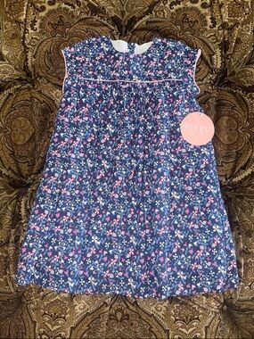 NWT BISBY by Little English Navy Floral Girls' Dress with Pink Accents